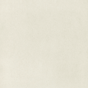 Escher Wallcovering Shell