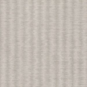 Silver Birch W419/02